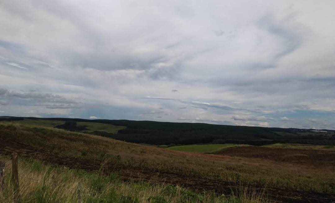 RB Cavalos-Sao Francisco de Paula必去景点