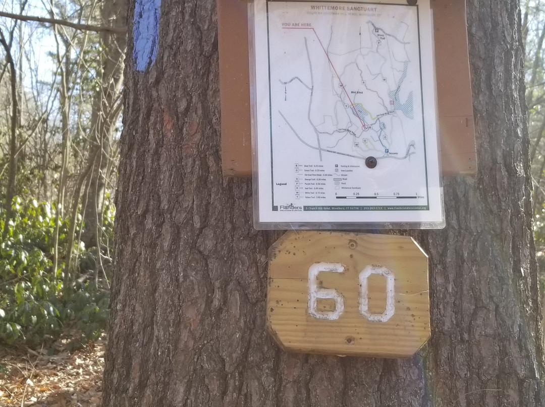 Flanders Nature Center-Woodbury必去景点