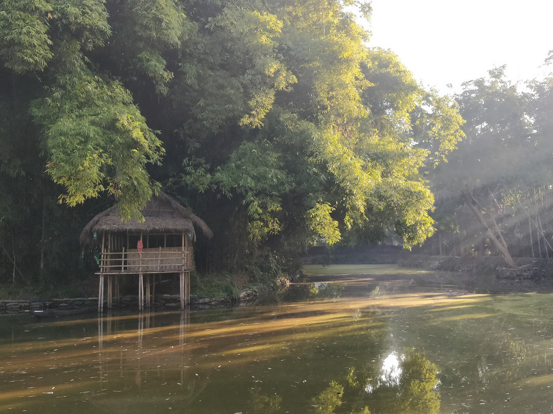 Infinity Resorts Kaziranga主图