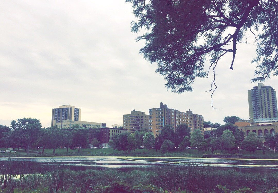 Loring Park-明尼阿波利斯必去景点