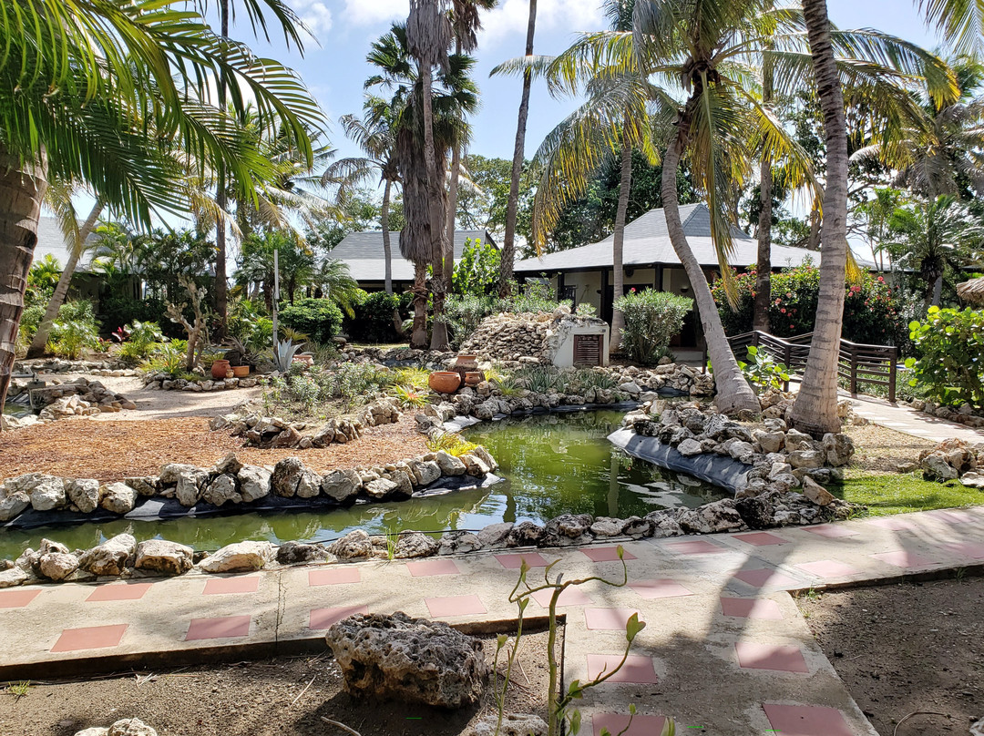 Captain Don's Habitat主图