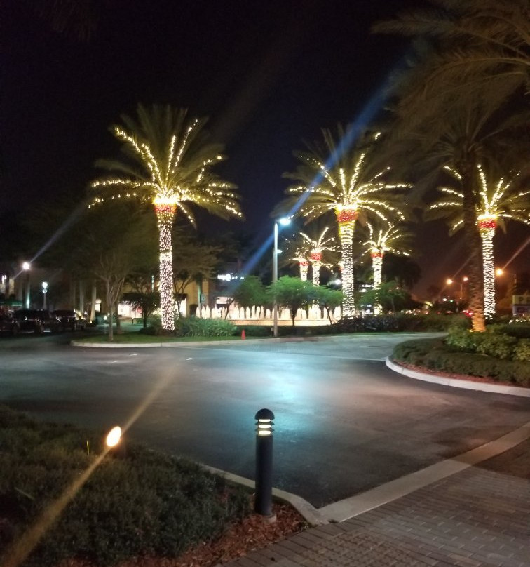 Promenade At Coconut Creek景点图片