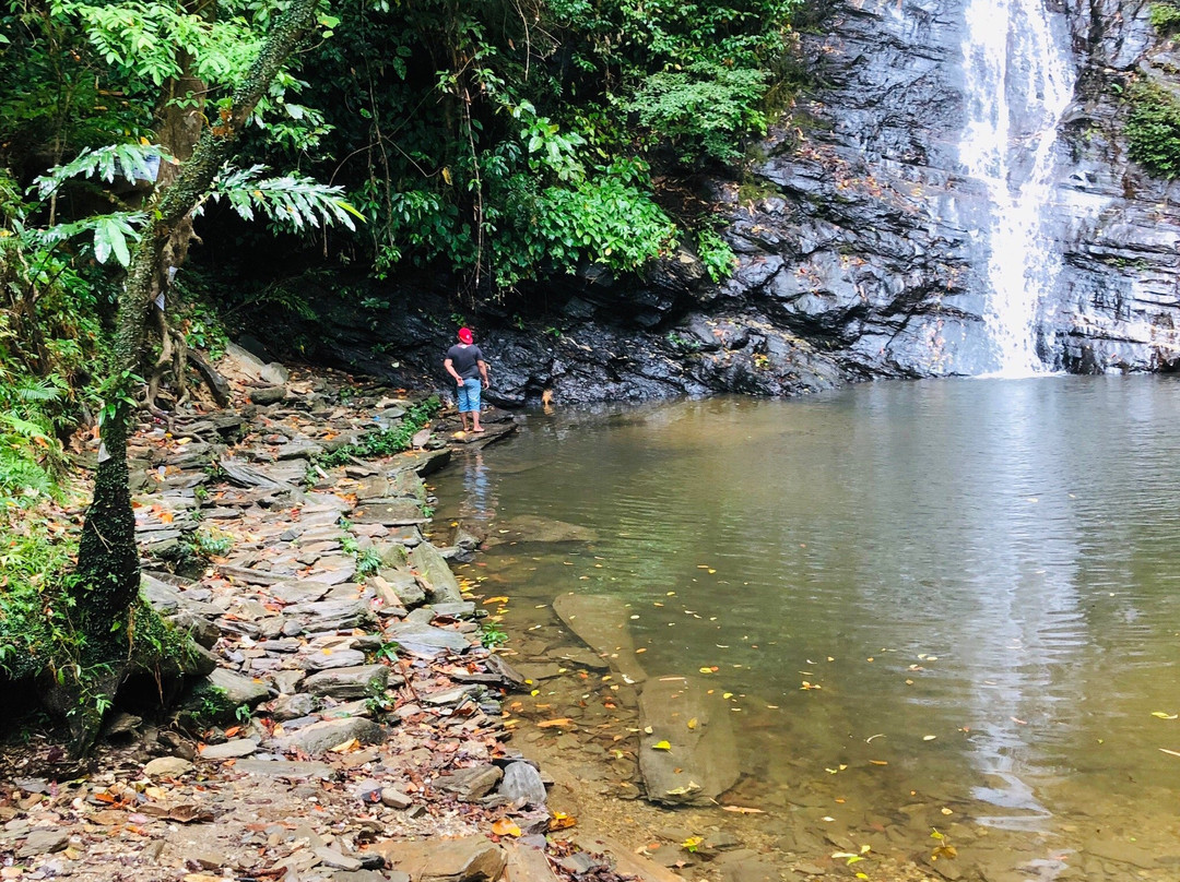 New Rizal Waterfalls景点图片