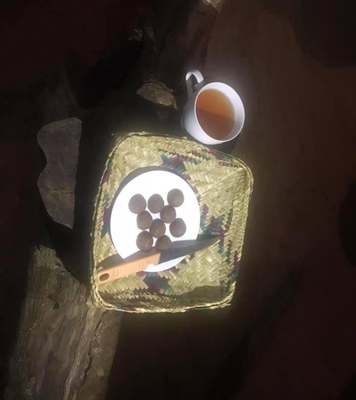 Safari Bungalow Udawalawa主图