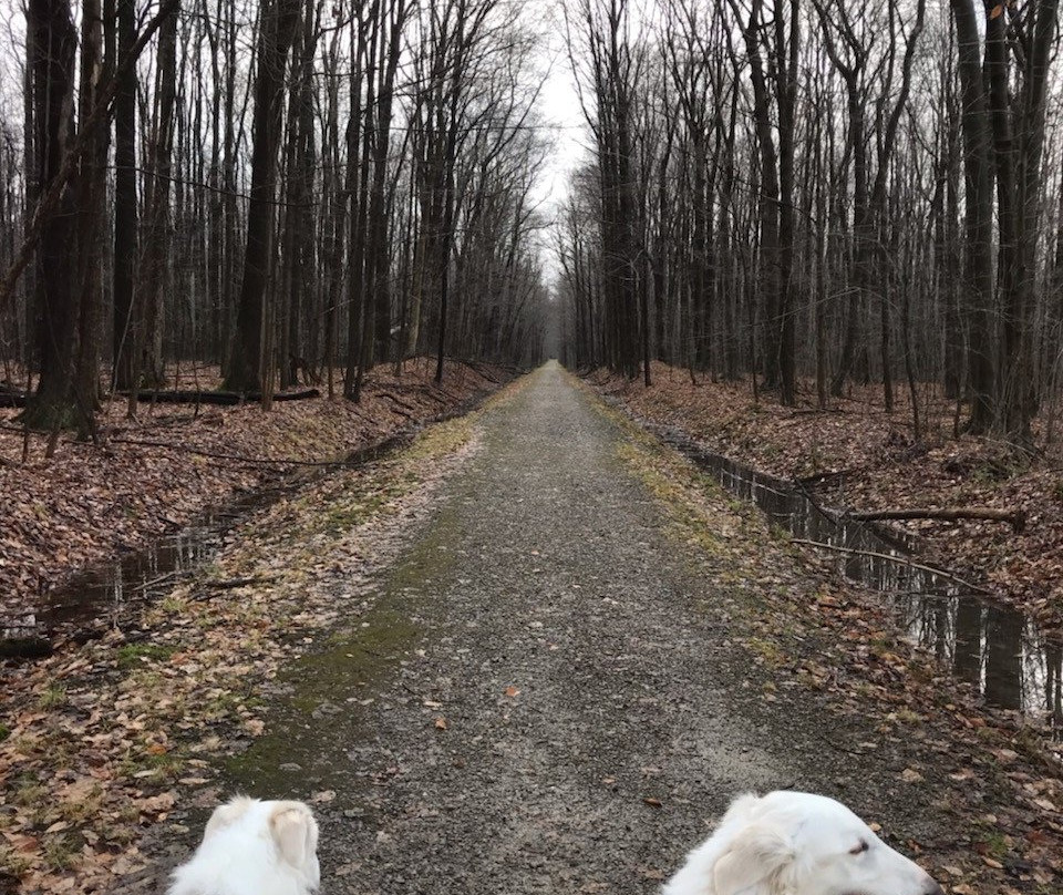 The Rookery-Chesterland必去景点