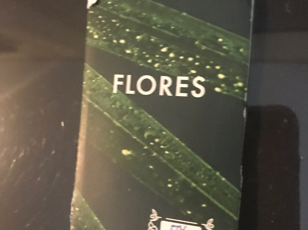 Flores Spa-德鲁斯基宁凯必去景点