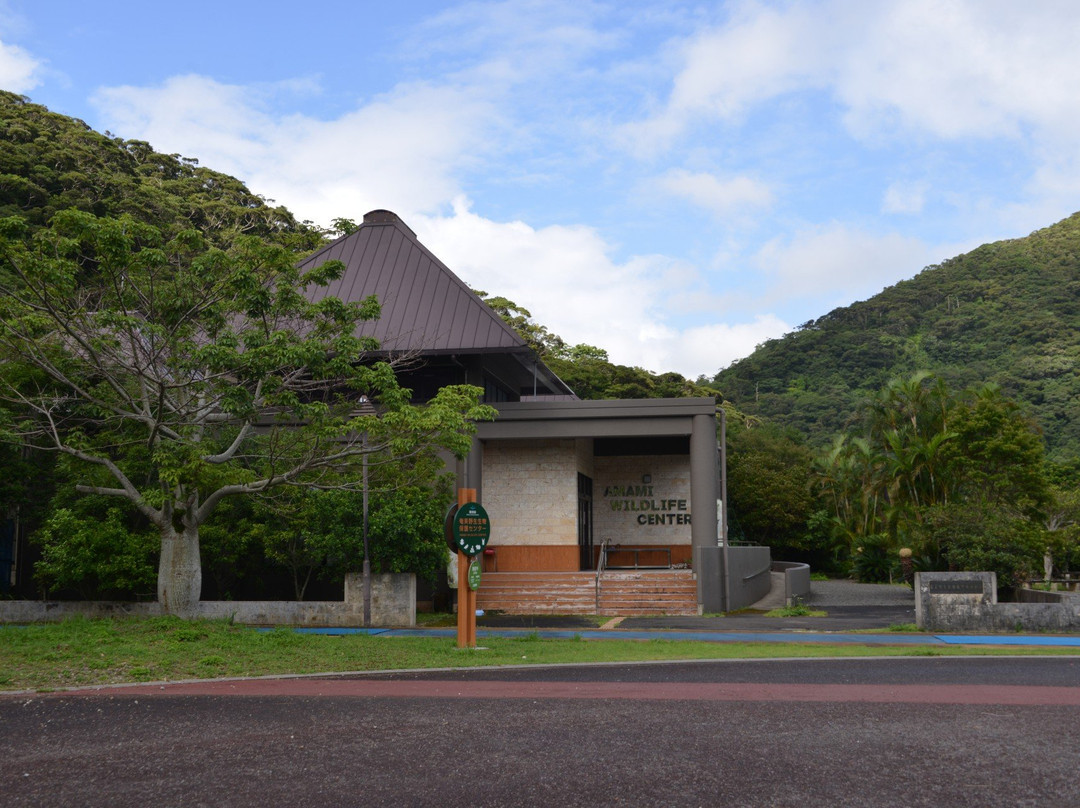 Amami Wildlife Center景点图片