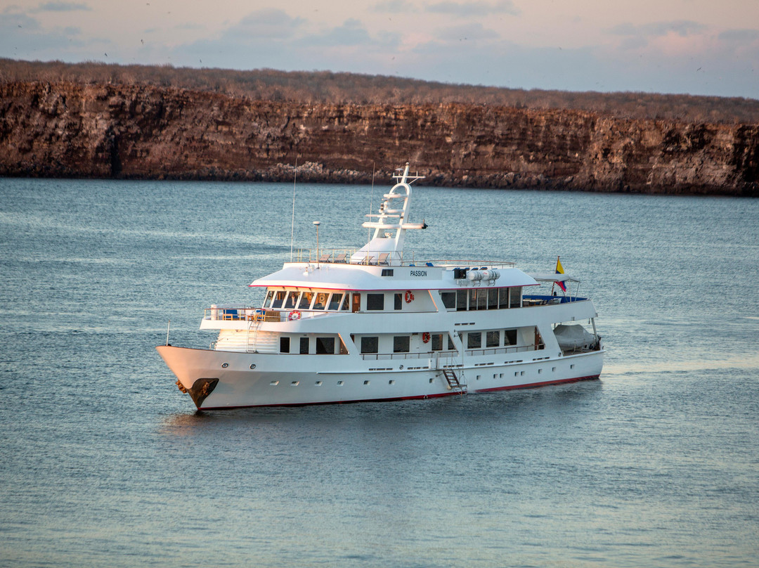 Luxury Yacht M/Y Passion-阿约拉港必去景点