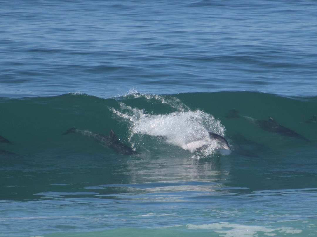 On the Beach Wilderness主图