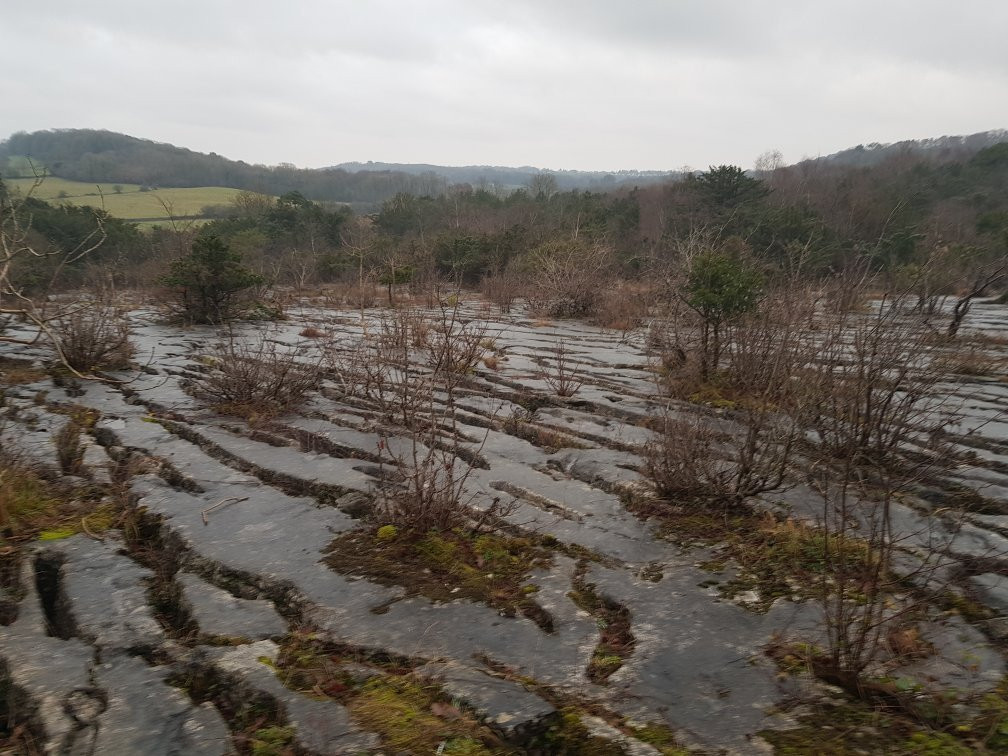 Gait Barrows National Nature Reserve-Silverdale必去景点