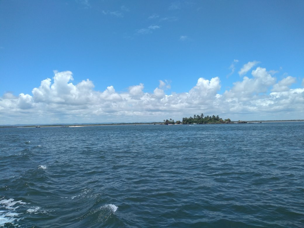 Ilha do Goio Beach景点图片