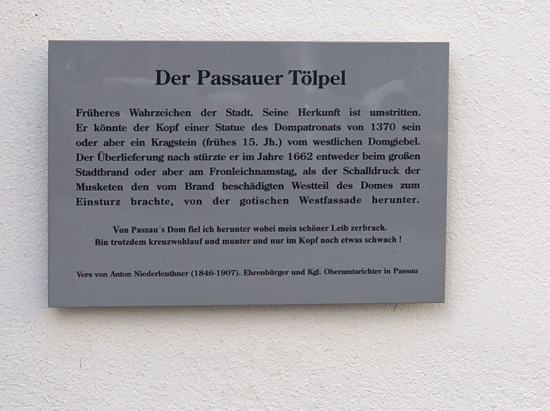 Der Passauer Tölpel-帕绍必去景点