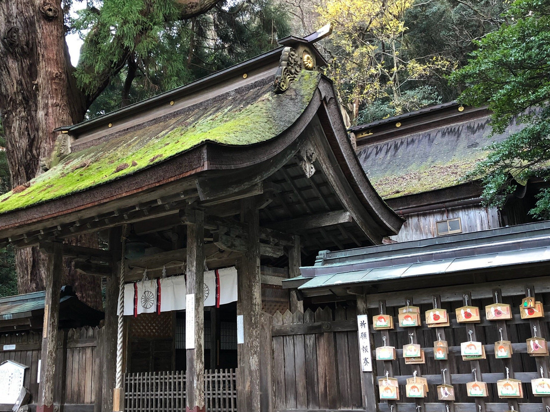 Wakasahime Shrine景点图片