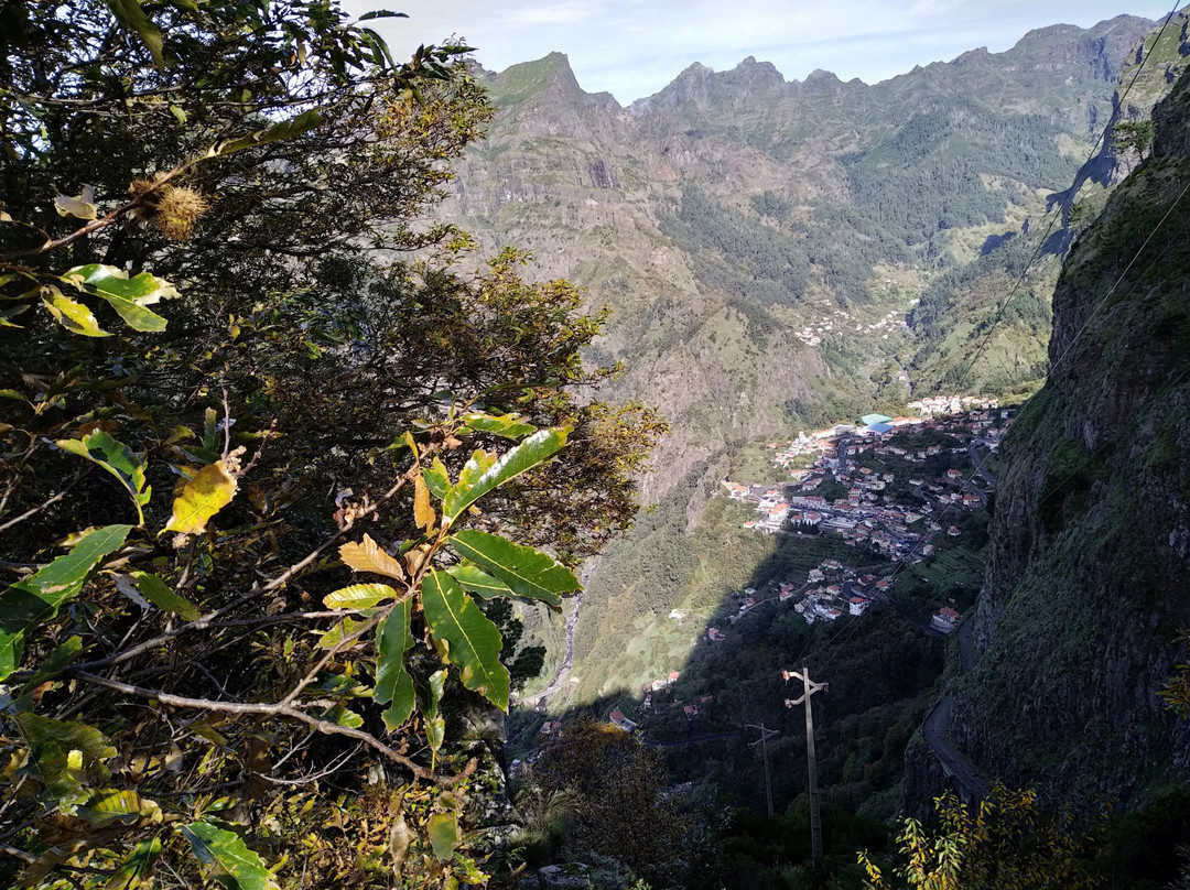 Madeira Discoverers景点图片