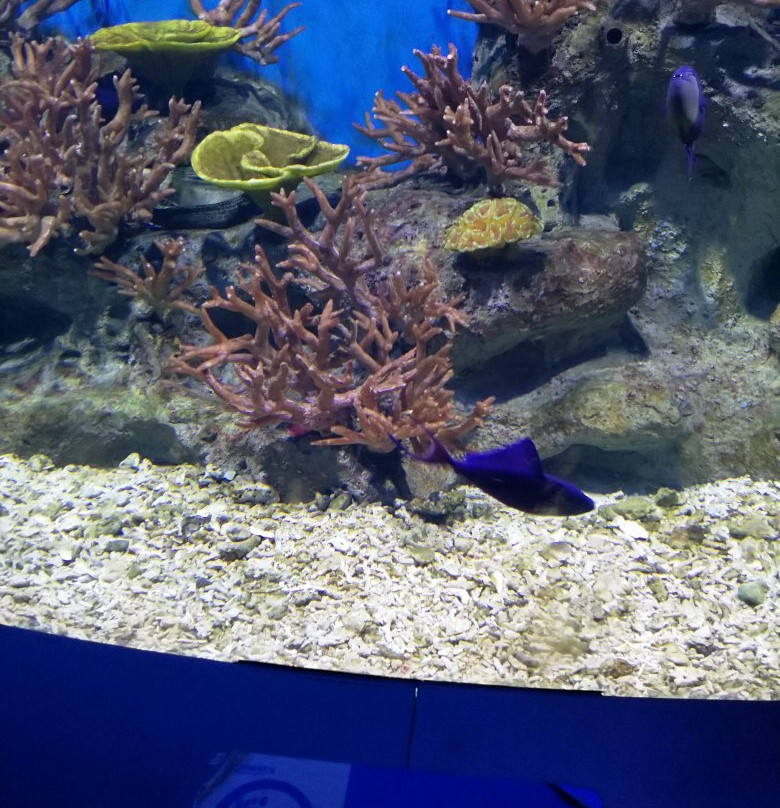 日照海洋公园-日照市必去景点