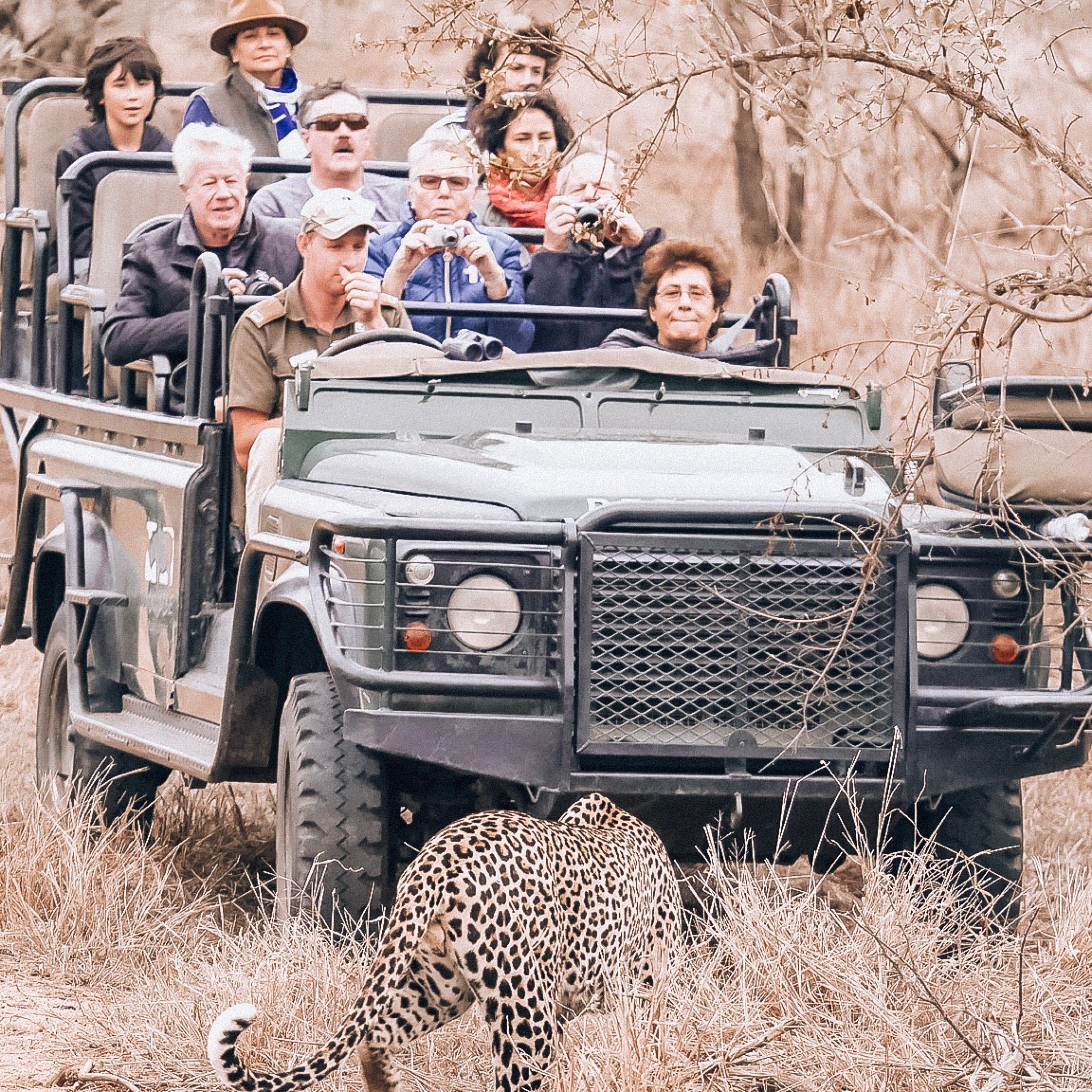 Umkumbe Safari Lodge-官方