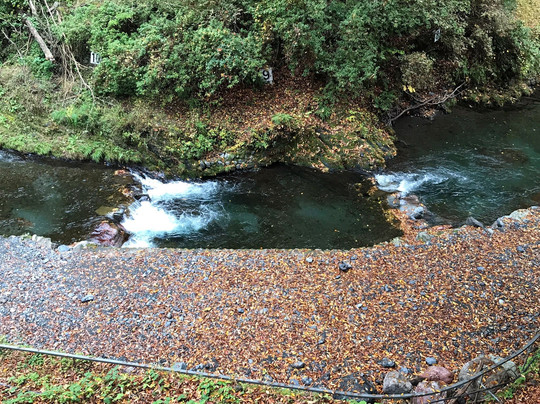 Minedani River Fishing Spot-奥多摩町必去景点