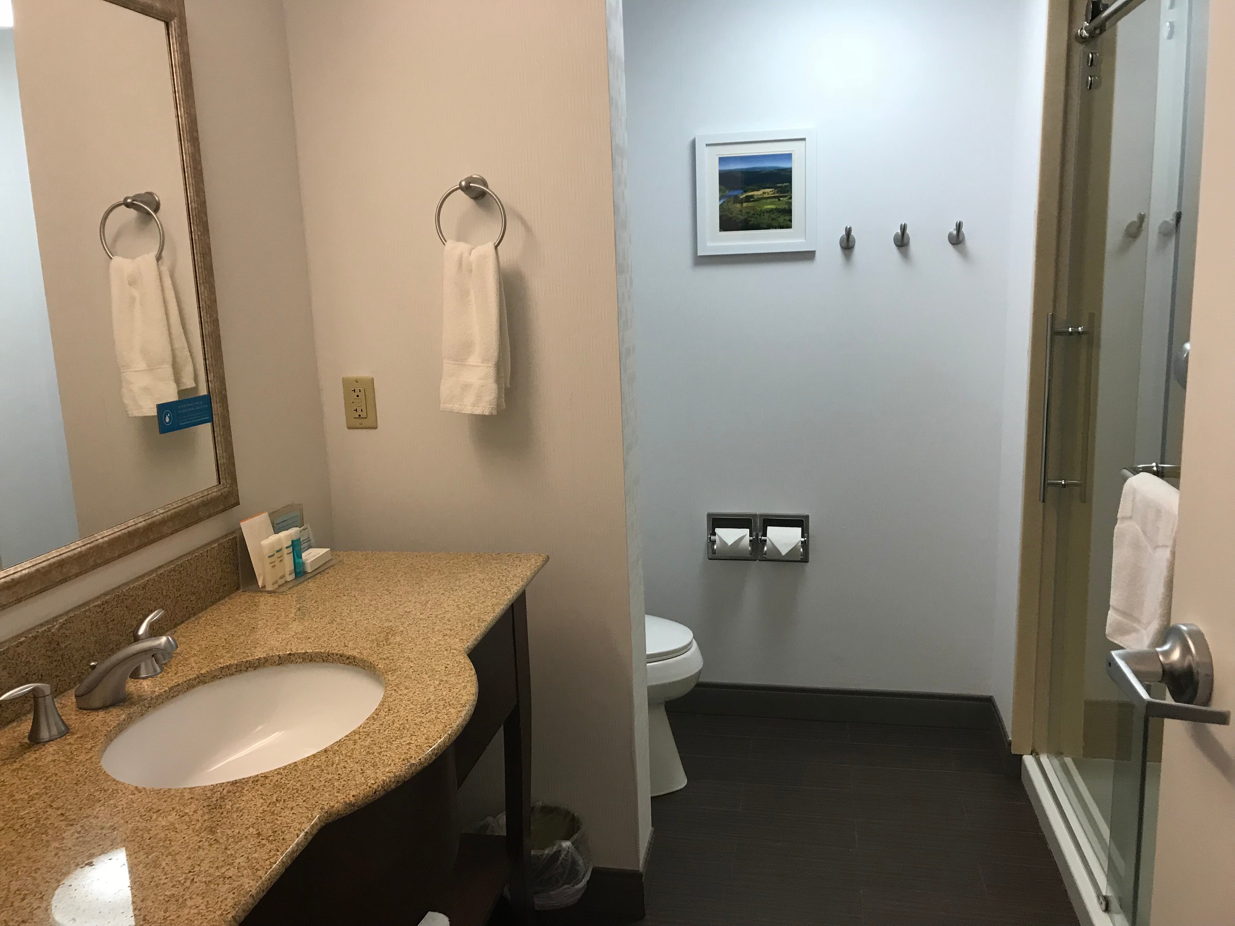 Hampton Inn Owego-浴室
