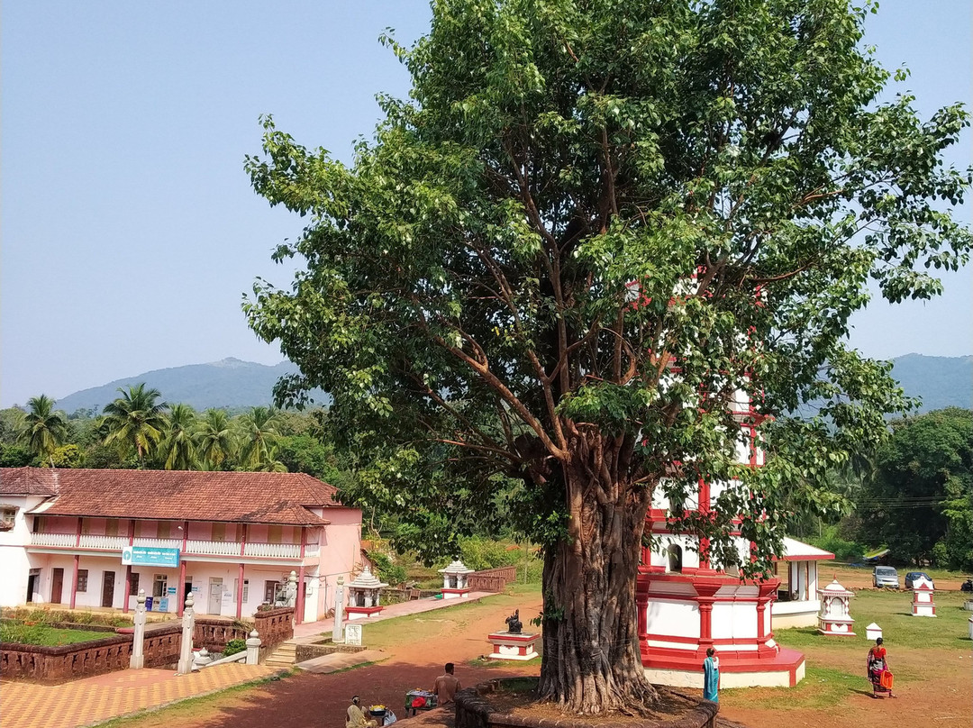 The Mallikarjun Temple景点图片