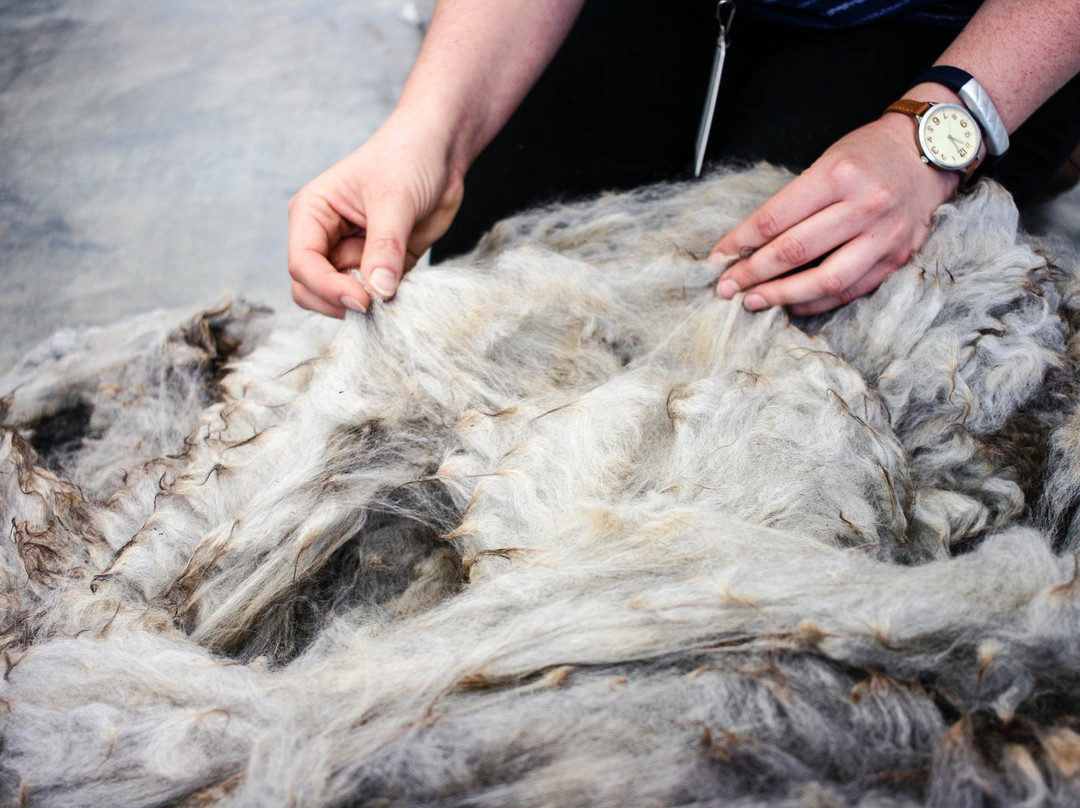 Echoview Fiber Mill景点图片