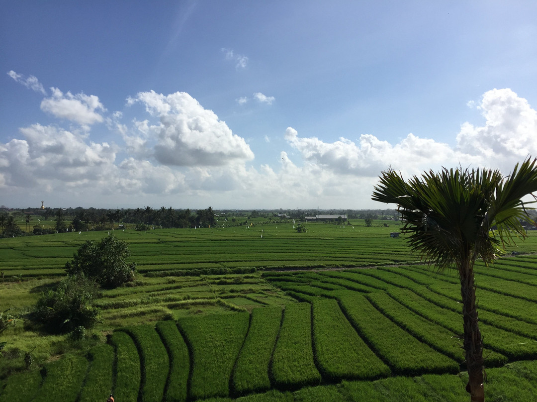 The Double View Mansions主图