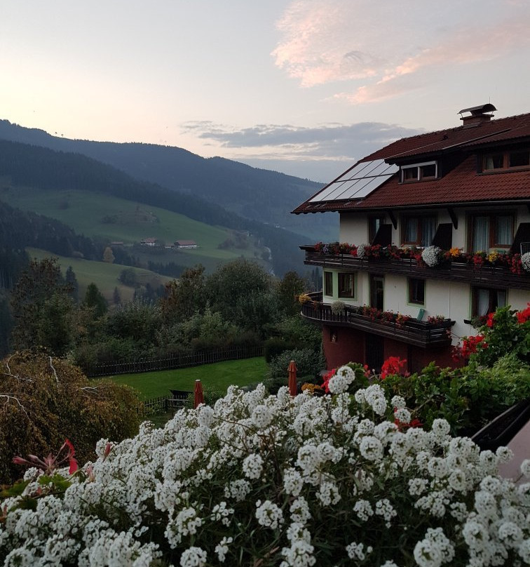 Familienhotel Koch主图