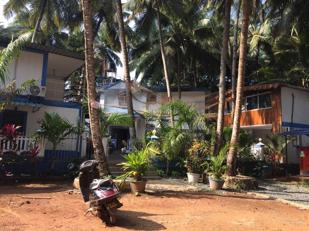 Dom Pedros Haven主图