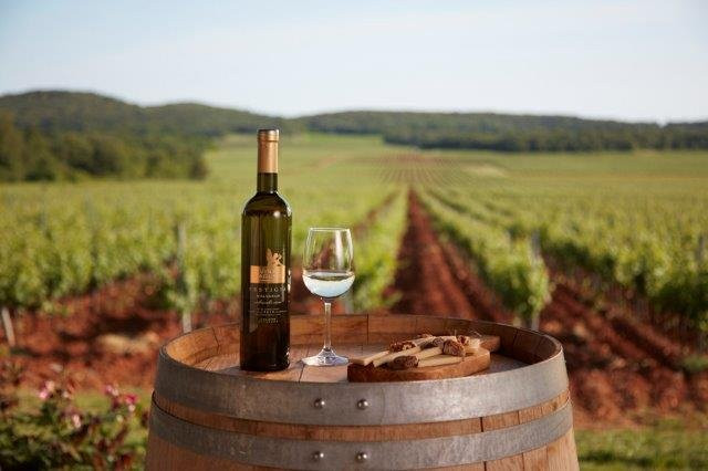 Agrolaguna-波雷奇必去景点