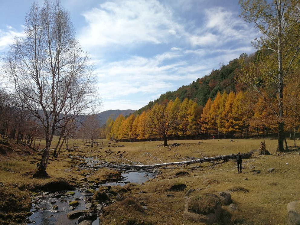 金山鹿苑景点图片