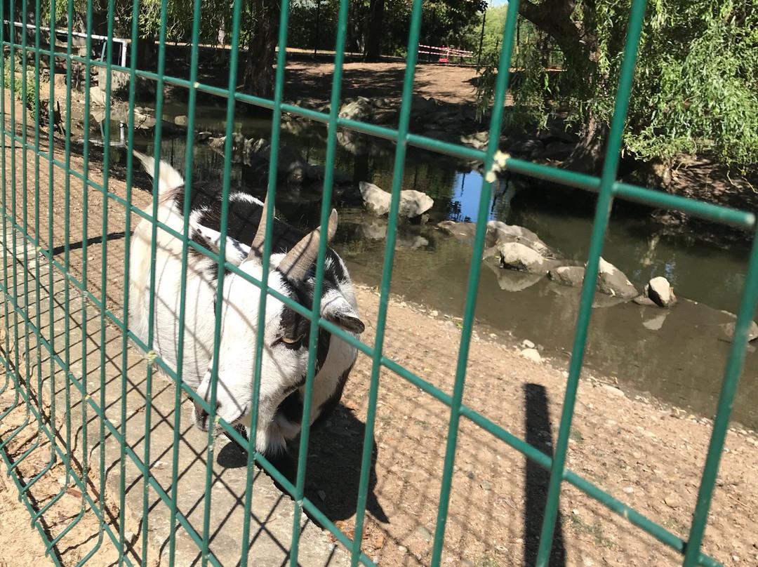 Parc de l'Eiblen景点图片
