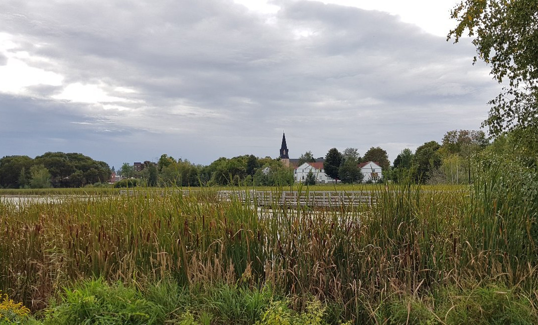 Sackville Waterfowl Park景点图片