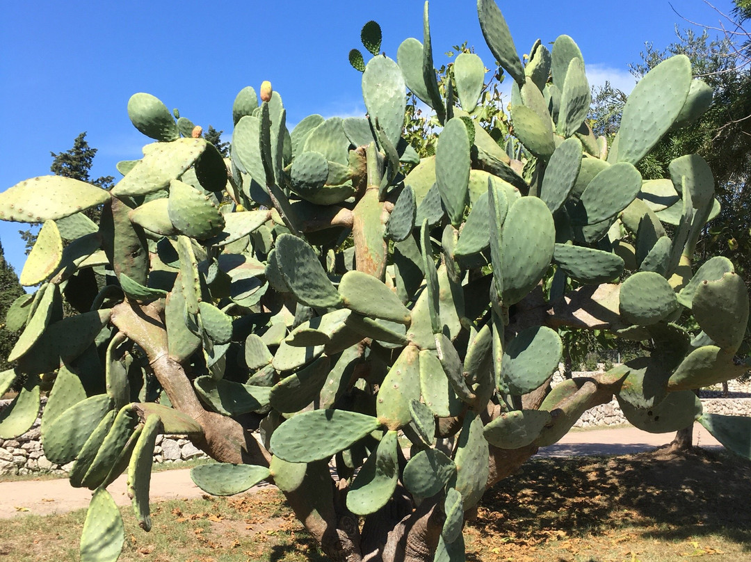 Torre di Belloluogo-莱切必去景点