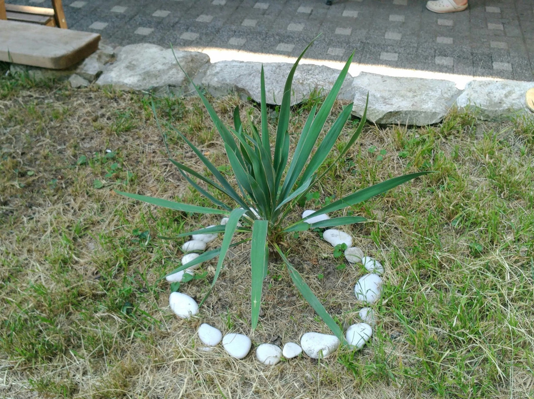 Gora Tsarya Bagrata主图