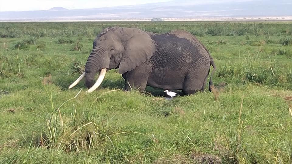 Pathway Safaris-马林地必去景点