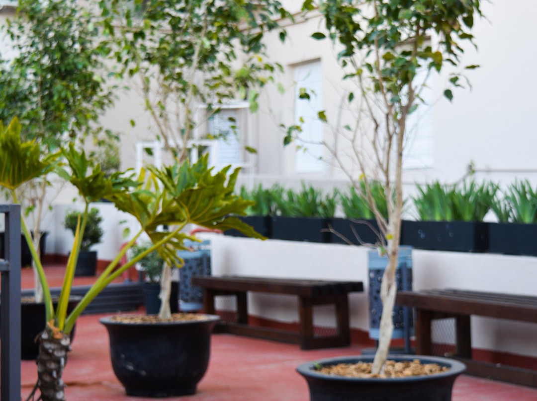 Hotel Vina De Italia主图