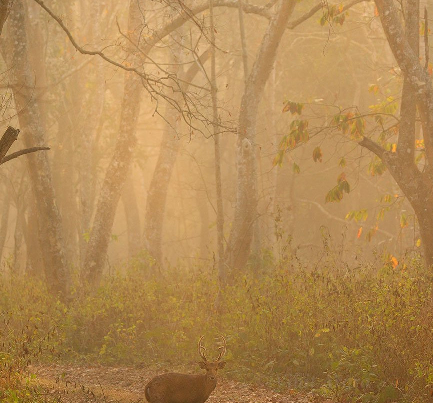 Orang National Park景点图片