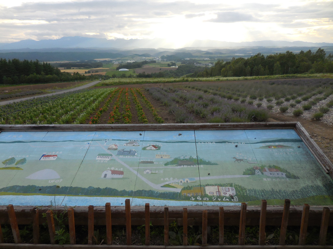 Rokugo Viewing Platform-富良野市必去景点