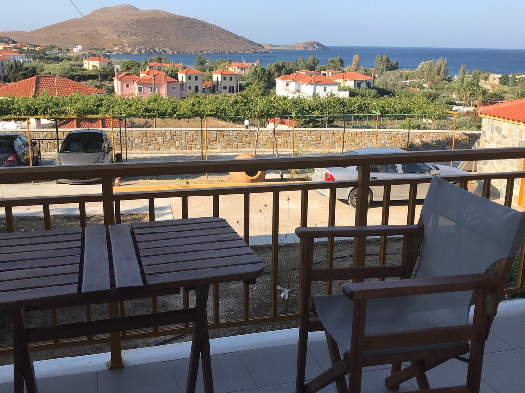 Panorama Plati主图