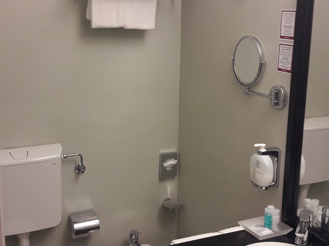 佛罗伦萨诺德酒店主图