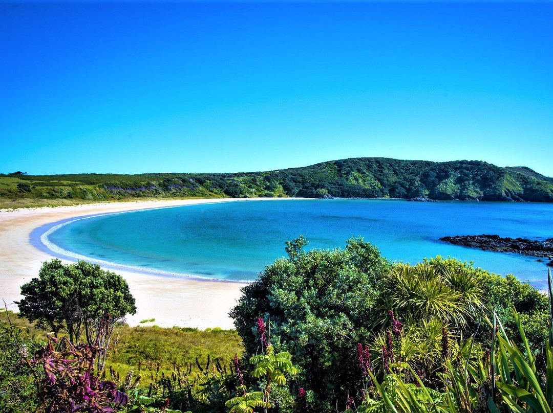 Karikari Peninsula旅游攻略图片