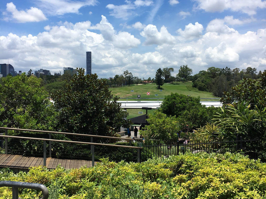 Victoria Park Golf-布里斯班必去景点