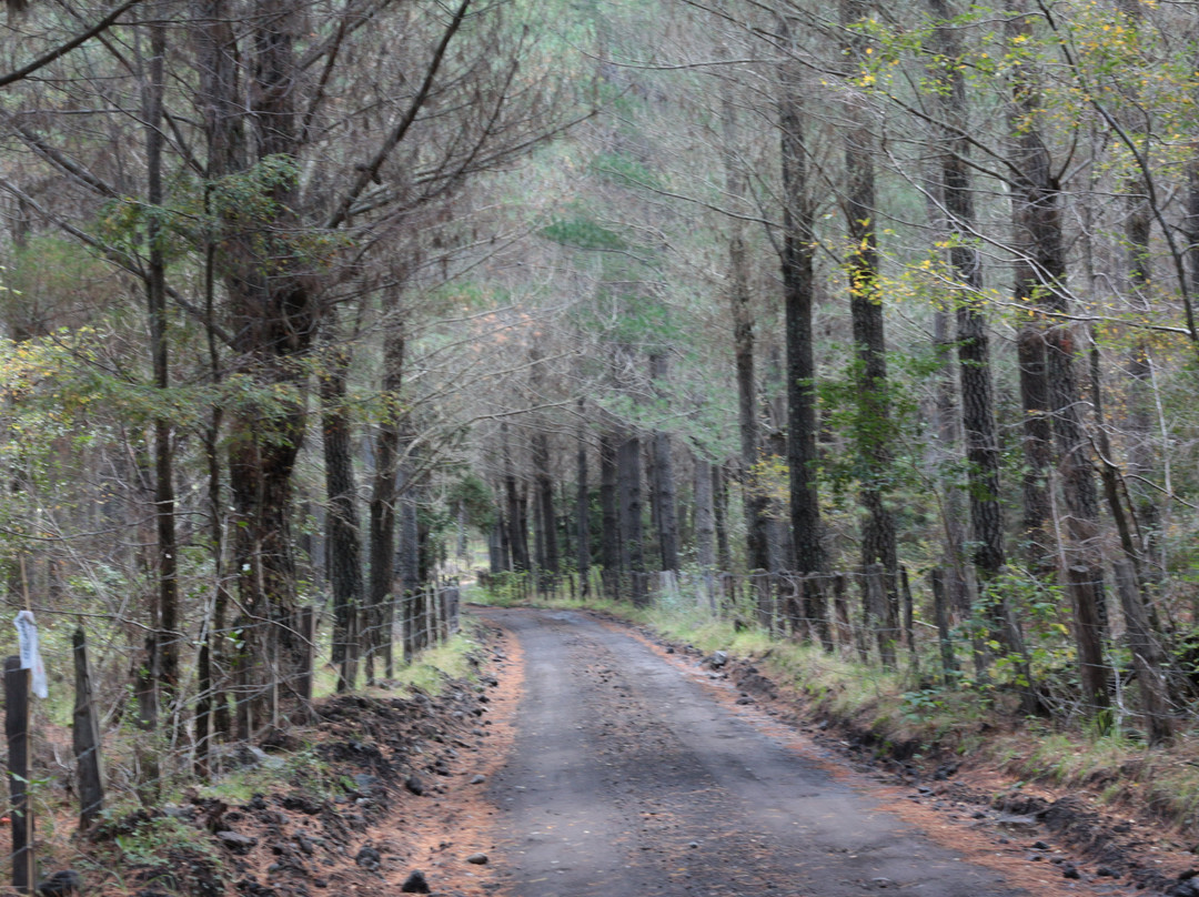 Hualaihue旅游攻略图片