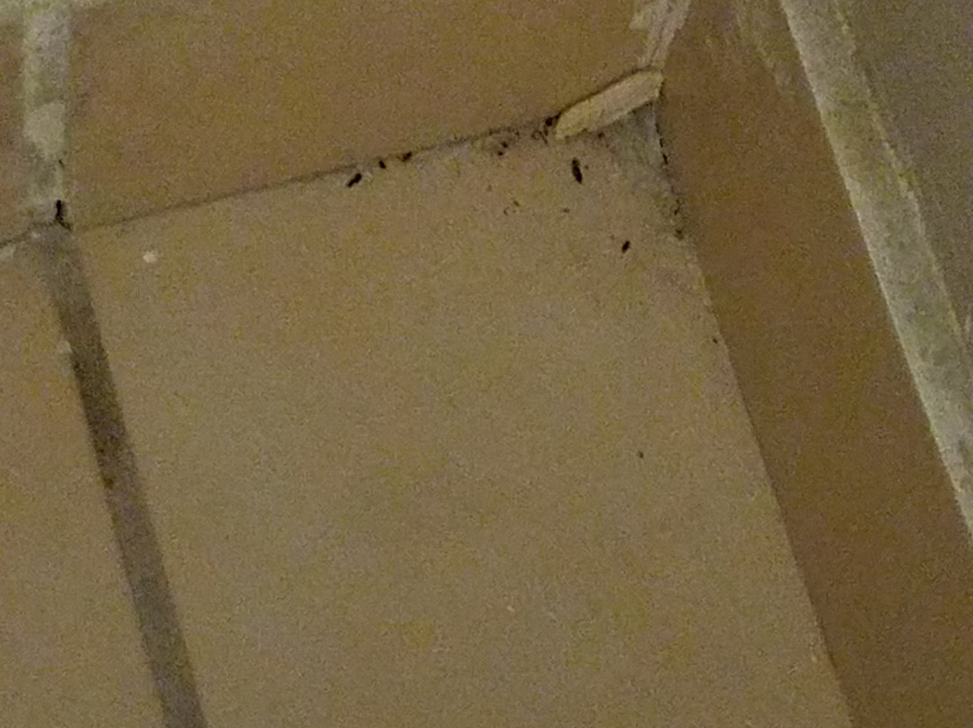 Super 8 by Wyndham Oklahoma/Frontier City主图