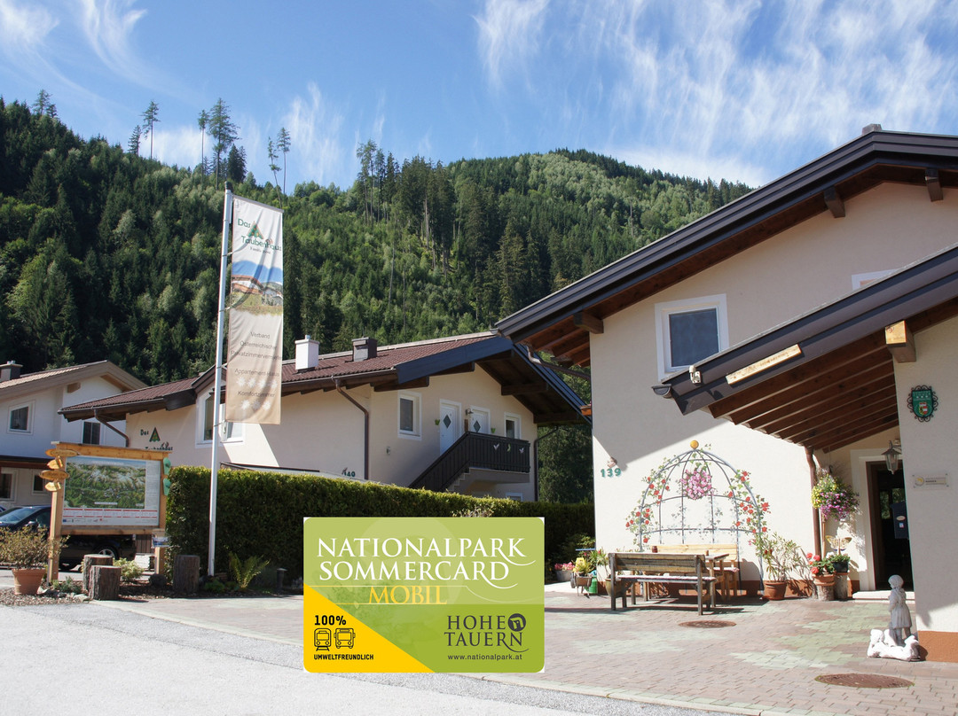 Hollersbach im Pinzgau酒店住宿-Das Taubenhaus