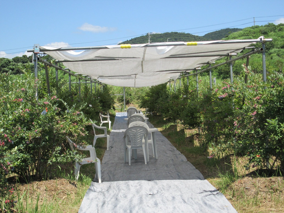 Futtsu Aqua Farm-富津市必去景点