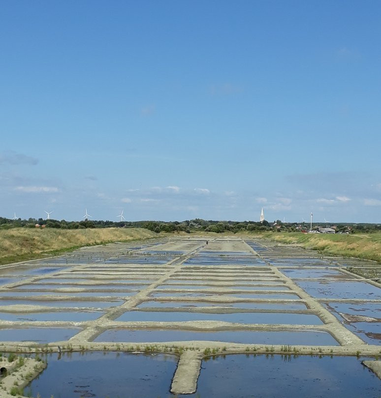 Salines de Millac景点图片