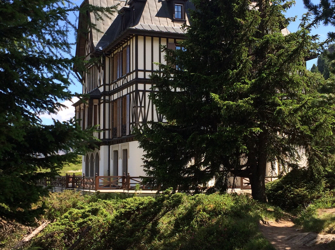 Villa Cassel - Pro Natura Zentrum Aletsch-利德阿尔卑必去景点