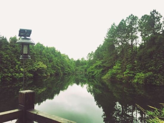 西山湖度假酒店(景德镇中国陶瓷博物馆店)主图