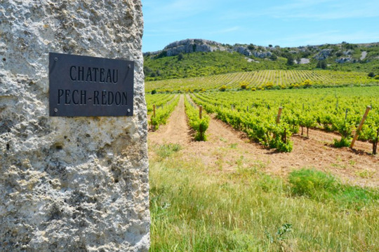 Château Pech Redon-纳博讷必去景点