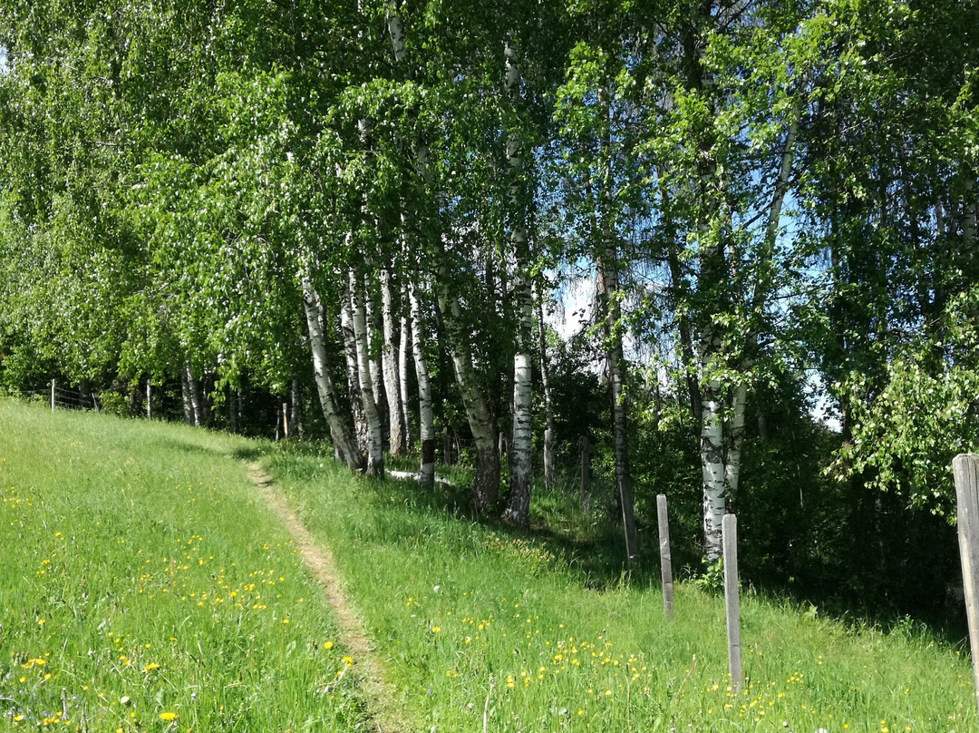 Panoramahotel Stocker主图